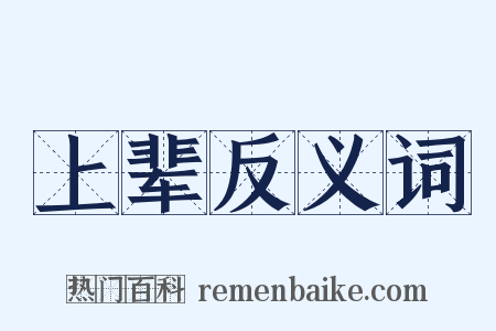 上辈反义词是什么意思的图片